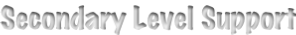 Secondary Level Support